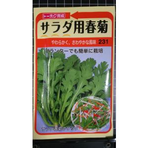 ３袋以上でクーポン割引 サラダ 用 春菊 種 郵便は送料無料