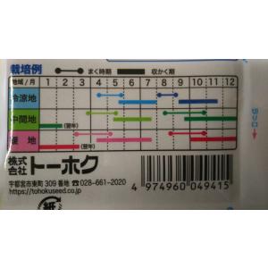 3袋以上でクーポン割引 サラダ 用 春菊 種 ...の詳細画像2