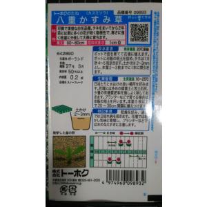 3袋以上でクーポン割引 宿根 八重 かすみ草 ...の詳細画像1