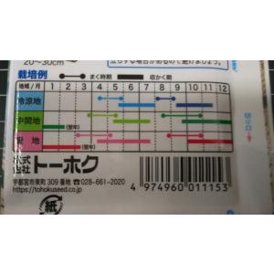 3袋以上でクーポン割引 中葉 しゅんぎく 春菊...の詳細画像2