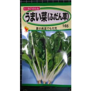 ３袋以上でクーポン割引 うまいな うまい菜 ふだん草 フダンソウ 種 郵便は送料無料