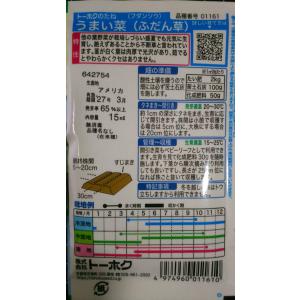 3袋以上でクーポン割引 うまいな うまい菜 ふ...の詳細画像1