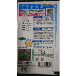 3袋以上でクーポン割引 わすれな草 ワスレナク...の詳細画像1