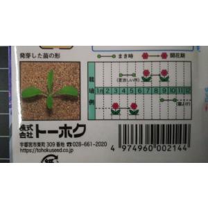 3袋以上でクーポン割引 矢車草 混合 切花用 ...の詳細画像2