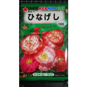 ３袋以上でクーポン割引 ひなげし ポピー 種 郵便は送料無料