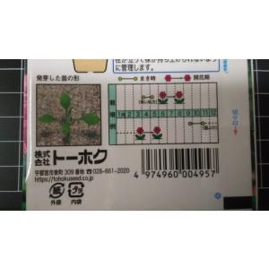 3袋以上でクーポン割引 ひなげし ポピー 種 ...の詳細画像2