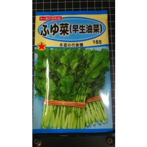 ３袋以上でクーポン割引 ふゆ菜 早生 油菜 冬菜 種 郵便は送料無料