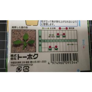 3袋以上でクーポン割引 アイスランド ポピー ...の詳細画像2