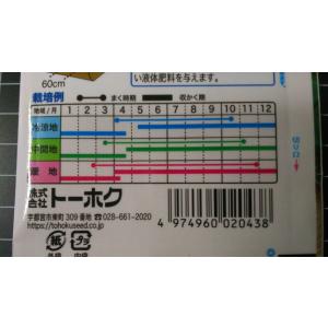 3袋以上でクーポン割引 イタリアン パセリ 種...の詳細画像2