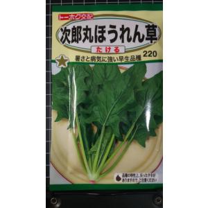 3袋以上でクーポン割引 次郎丸 ほうれん草 たけ...の商品画像