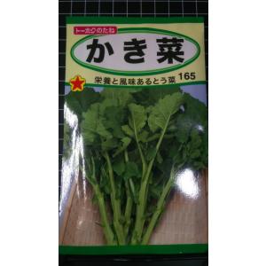 ３袋以上でクーポン割引 かき菜 とう菜 かきな トウサイ 種 郵便は送料無料