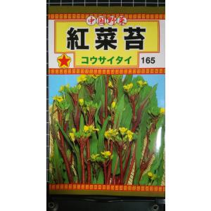 ３袋以上でクーポン割引 紅菜苔 コウサイタイ 種 郵便は送料無料