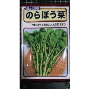 ３袋以上でクーポン割引 のらぼう菜 種 郵便は送料無料 のらぼうな