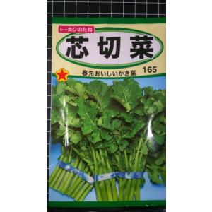 ３袋以上でクーポン割引 芯切菜 しんきりな かき菜 かきな 種 郵便は送料無料