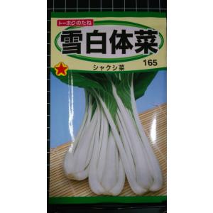 ３袋以上でクーポン割引 雪白体菜 シャクシ菜 しゃくしな 種 郵便は送料無料