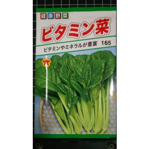 ３袋以上でクーポン割引 ビタミン菜 ビタミンナ 種 郵便は送料無料