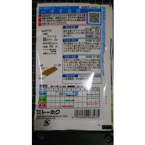 3袋以上でクーポン割引 一寸 ソラマメ そら豆...の詳細画像1