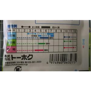 3袋以上でクーポン割引 一寸 ソラマメ そら豆...の詳細画像2