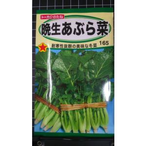 ３袋以上でクーポン割引 晩生 あぶら菜 油菜 アブラナ 冬菜 フユナ 種 郵便は送料無料