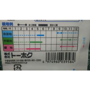 3袋以上でクーポン割引 春 キャベツ 春よ恋 ...の詳細画像2