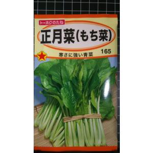 ３袋以上でクーポン割引 正月菜 もち菜 青菜 種 郵便は送料無料