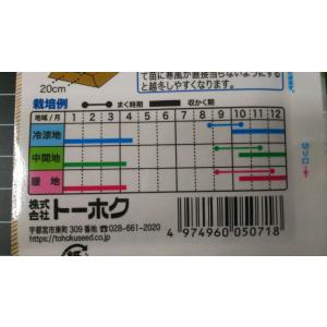 3袋以上でクーポン割引 正月菜 もち菜 青菜 ...の詳細画像2