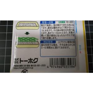 3袋以上でクーポン割引 ブロッコリー の芽 種...の詳細画像2