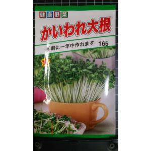 ３袋以上でクーポン割引 かいわれ大根 カイワレ 種 郵便は送料無料