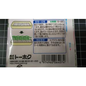 3袋以上でクーポン割引 かいわれ大根 カイワレ...の詳細画像2