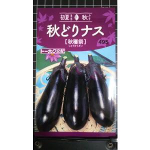 ３袋以上でクーポン割引 秋どり ナス 秋穫祭 茄子 種 郵便は送料無料 しゅうかくさい