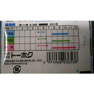 3袋以上でクーポン割引 秋どり ナス 秋穫祭 ...の詳細画像2