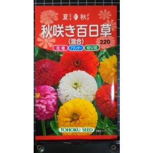 ３袋以上でクーポン割引 秋咲き 百日草 混合 ヒャクニチソウ 種 種子 郵便は送料無料
