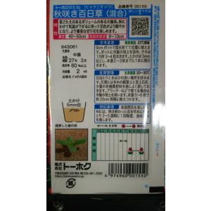 3袋以上でクーポン割引 秋咲き 百日草 混合 ...の詳細画像1
