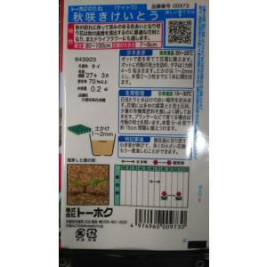 3袋以上でクーポン割引 秋咲き けいとう ドラ...の詳細画像1