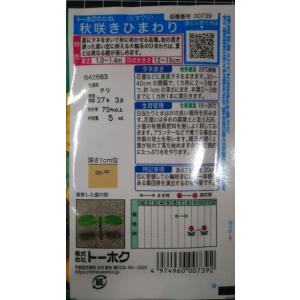 3袋以上でクーポン割引 秋咲き ひまわり 向日...の詳細画像1