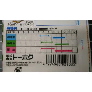 3袋以上でクーポン割引 秋どり ミニ トマト ...の詳細画像2
