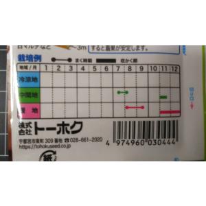 3袋以上でクーポン割引 秋どり ミニ カボチャ...の詳細画像2