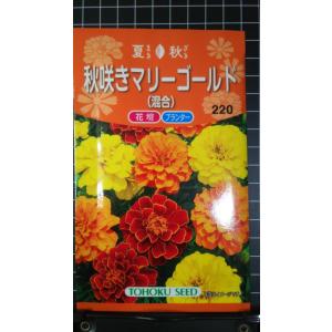 ３袋以上でクーポン割引 秋咲き マリーゴールド 混合 種 種子 郵便は送料無料