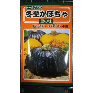 ３袋以上でクーポン割引 冬至 かぼちゃ 里の味 南瓜 種 郵便は送料無料
