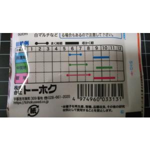 3袋以上でクーポン割引 秋どり トウモロコシ ...の詳細画像2