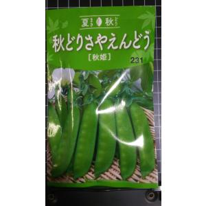 ３袋以上でクーポン割引 秋どり さや えんどう 秋姫 種 郵便は送料無料