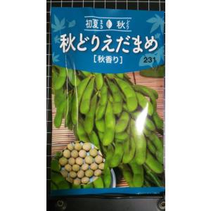 ３袋以上でクーポン割引 秋どり えだまめ 秋香り 枝豆 種 郵便は送料無料