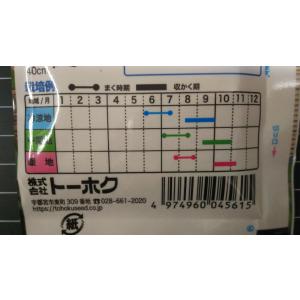 3袋以上でクーポン割引 秋どり えだまめ 秋香...の詳細画像2