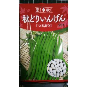 ３袋以上でクーポン割引 つるあり 秋どり いんげん フェスティバル 種 郵便は送料無料