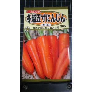 ３袋以上でクーポン割引 冬越 五寸 にんじん 冬王 種 郵便は送料無料 人参