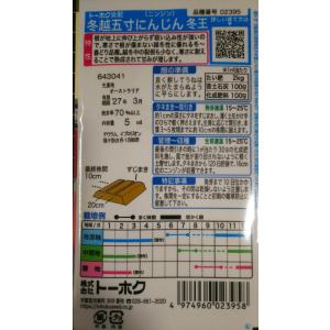 3袋以上でクーポン割引 冬越 五寸 にんじん ...の詳細画像1