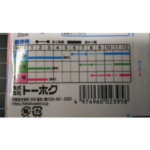 3袋以上でクーポン割引 冬越 五寸 にんじん ...の詳細画像2