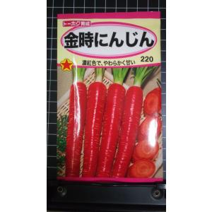 ３袋以上でクーポン割引 金時 にんじん 種 郵便は送料無料 人参