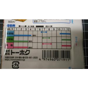 3袋以上でクーポン割引 金時 にんじん 種 郵...の詳細画像2