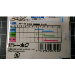3袋以上でクーポン割引 秋どり キュウリ なる...の詳細画像2